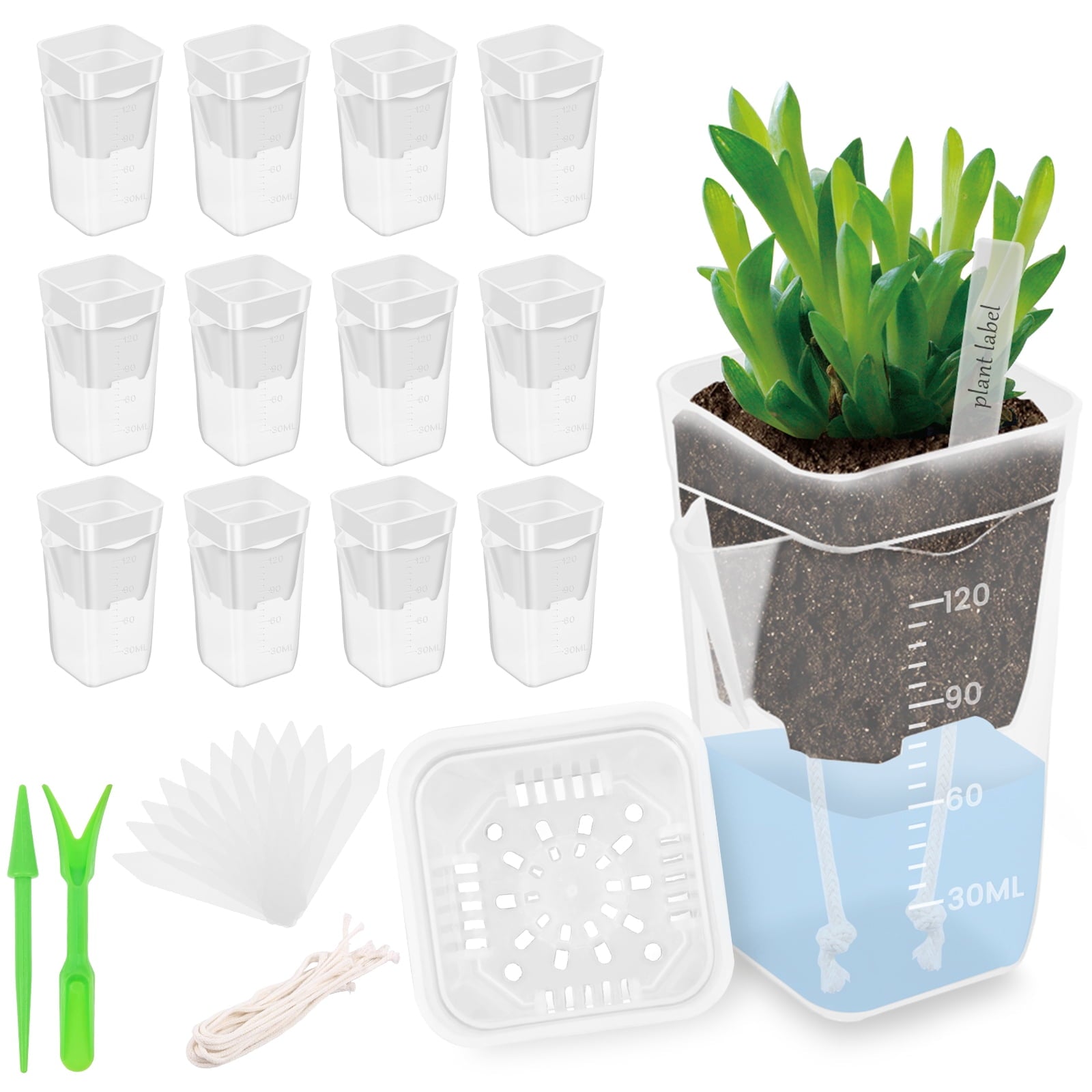 12 Pack 2" Mini Self Watering Pots for Indoor Plants Small Clear Plastic Planters Alocasia Corm Propagation African Violet Cutting Seeding Water Level Indicator Drainage Hole 12 Plant Label