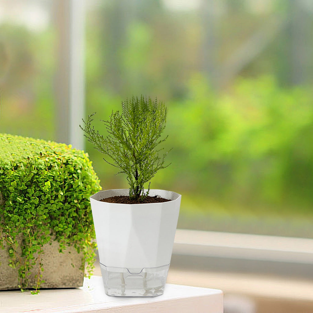 Ywbawe Automatic Self-Watering Planter, Clear Plastic Greenery Pot with Water Reservoir for Indoor Outdoor Greenery, 1-Pack