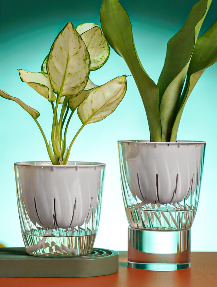 4Pcs Self Watering Planters, 4.53inch Transparent Flower Pots for Indoor Plants, Perfect for African Violet, Monstera, Succulents, Herbs & Decorative Flowers(Style 1)