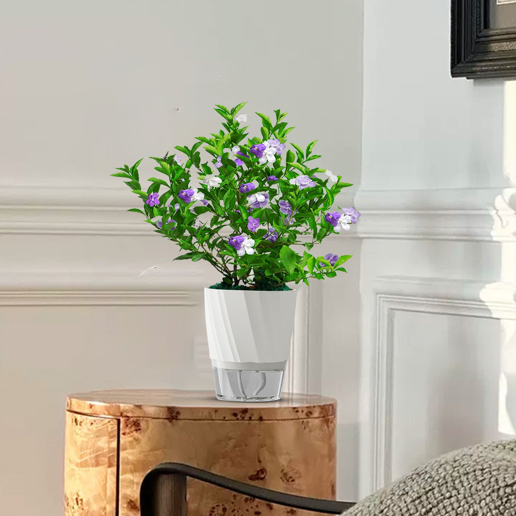 EDHITNR Self Watering Planter, Automatic Watering Flower Pot with Wick for Pothos Succulents, Stackable Water Culture Planter for Indoor Plants Home Decor, White