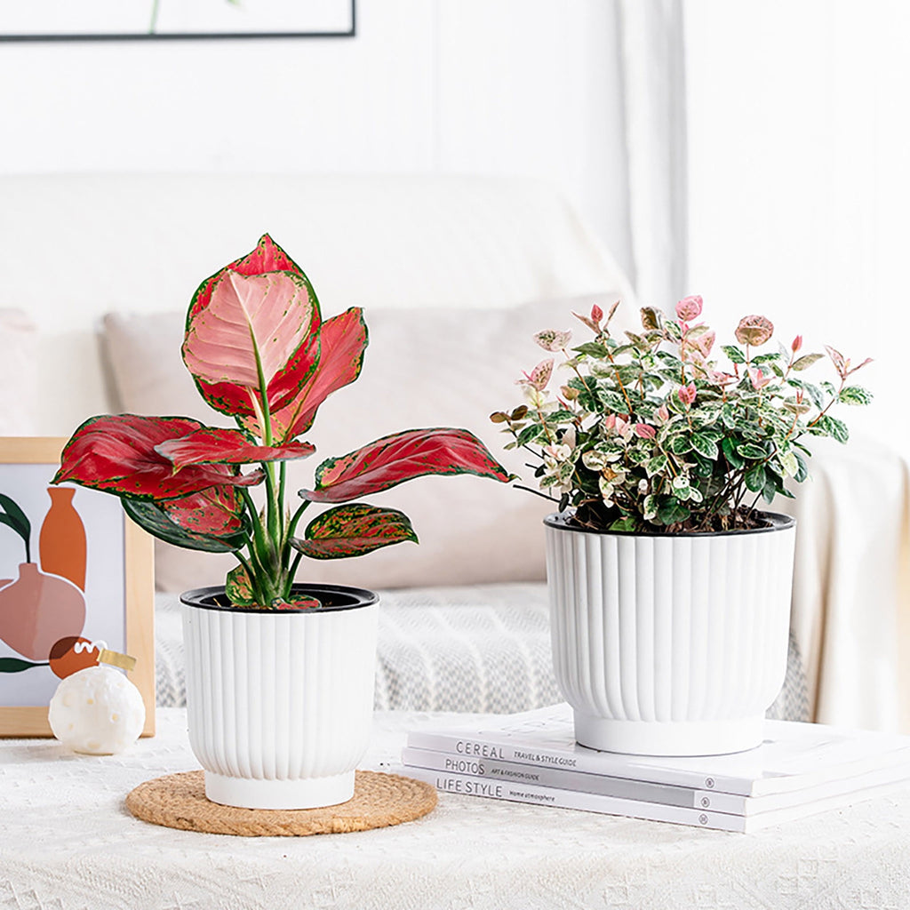 M Medium Self Watering Planter Round Resin Flower Pot With Vertical Pattern For Succulents Roses Tabletop Indoor Plants