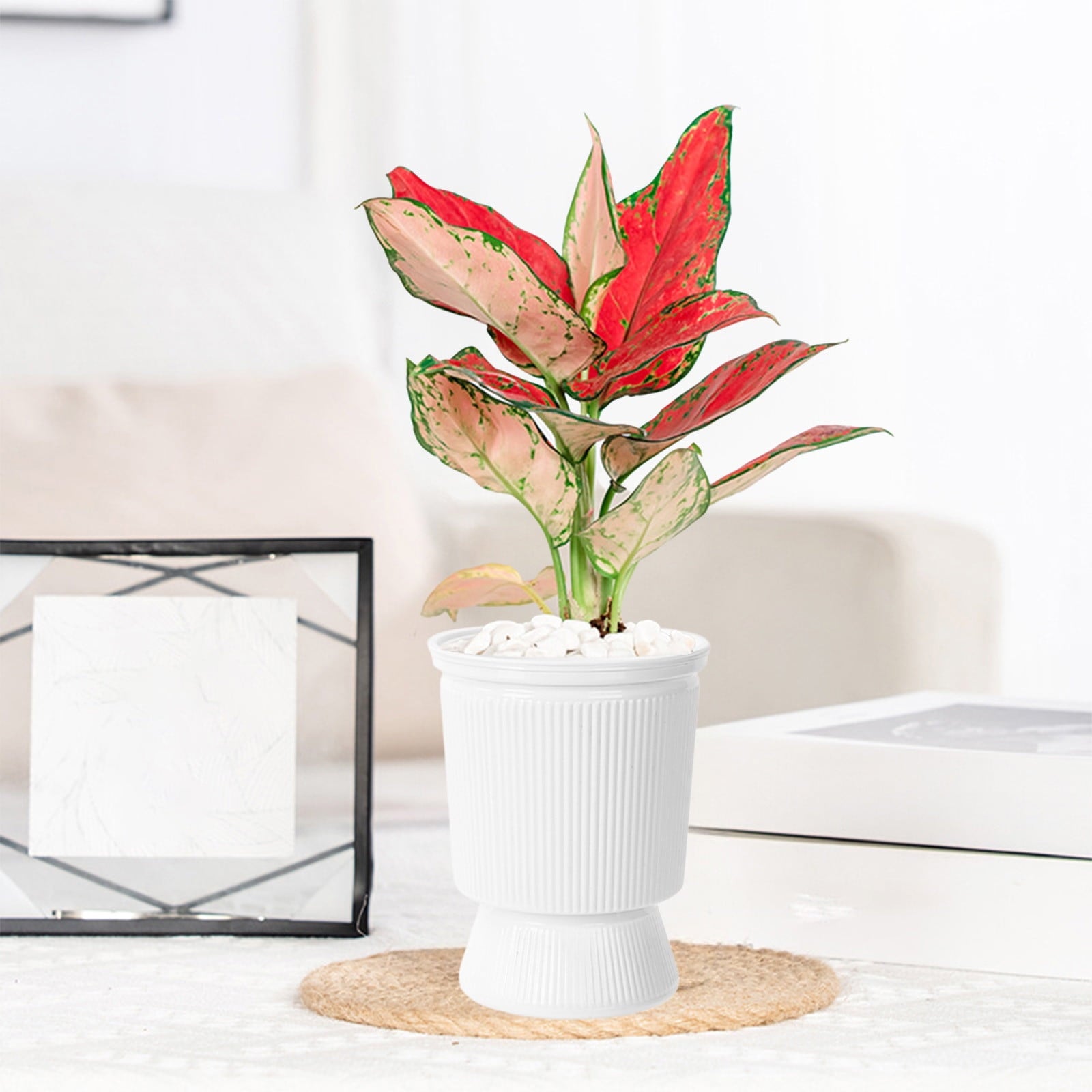 FEOLGEHLY 2 Pack 5.1 inch Self Watering Pots for Indoor Plants, Planters for Indoor Plants, Flowerpot with Wick & Reservoir, White