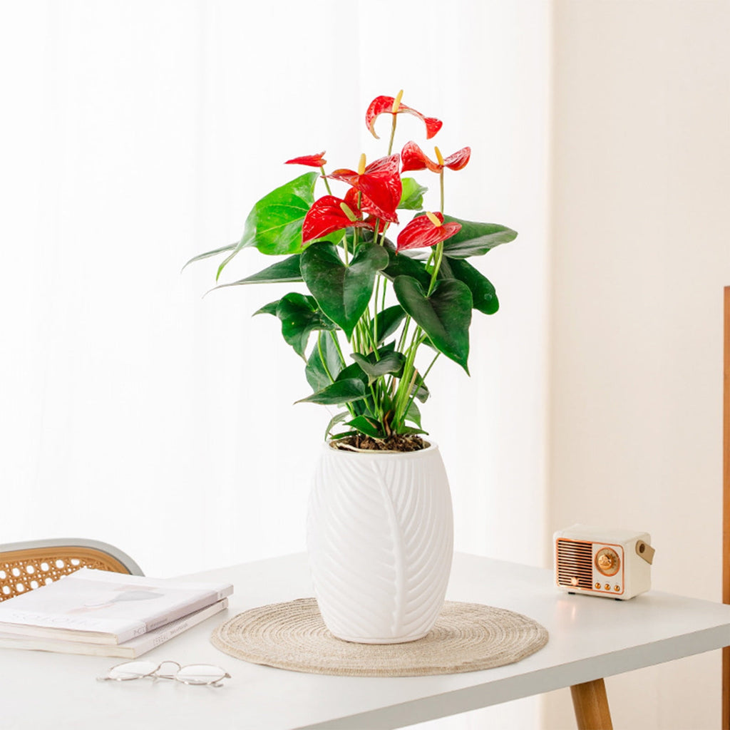 Outoloxit Self-Watering Flower Pot for Lazy Gardeners - Automatic Plant Watering System, Leaf Shaped Plastic Planter for Desktop, Balcony, Succulents and Herbs