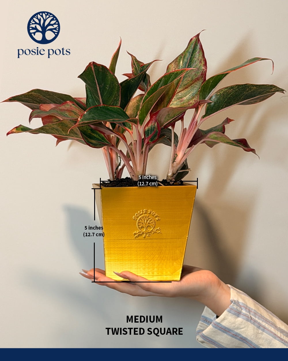 Posie Pot 5 inch, Medium, Gold, Twisted Square Self Watering Planter, 3D Printed