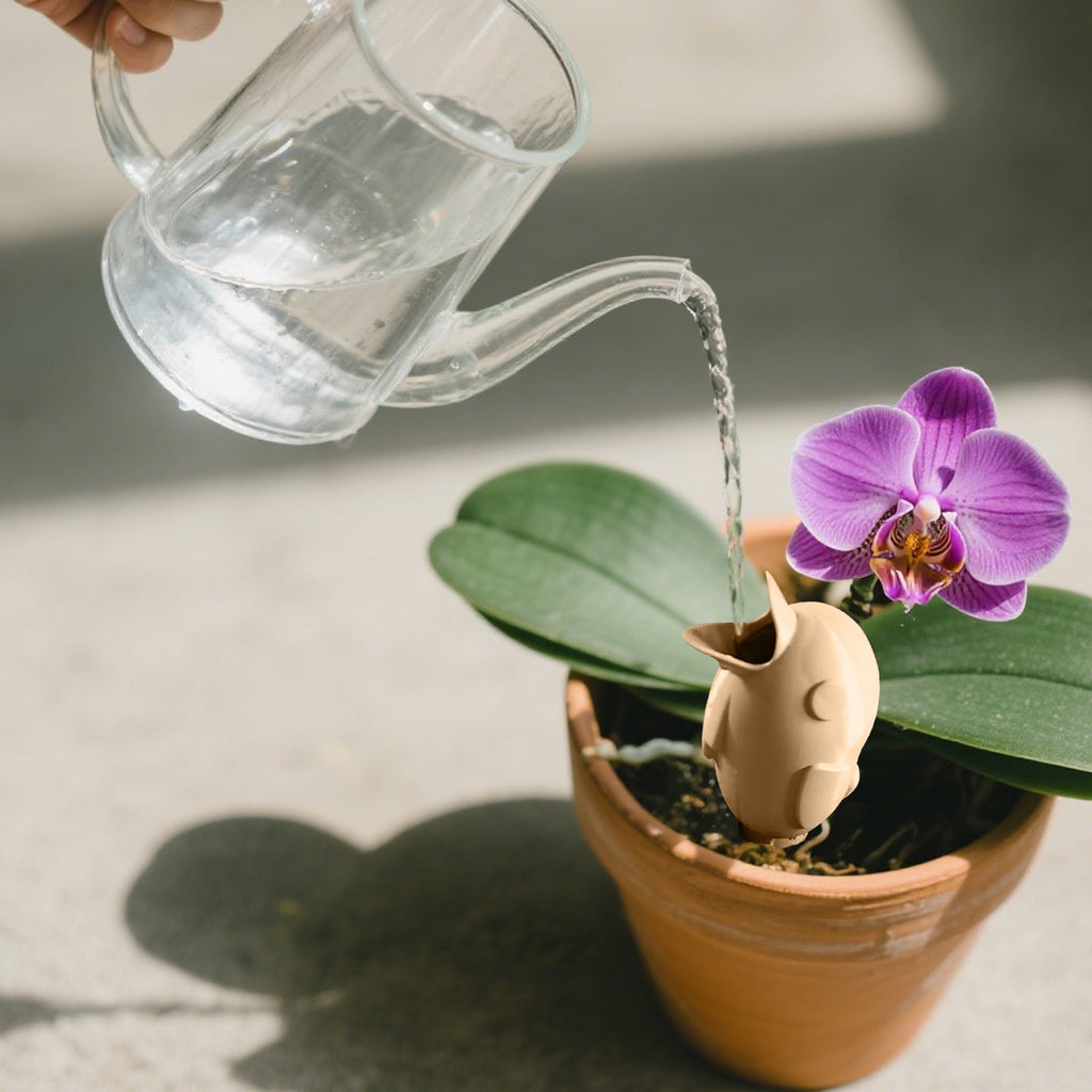 Plant pots Automatic Watering Spike Bird Shaped Plant Watering Device for Indoor and Outdoor Potted Plants Cute Self Watering Planter Plug In Stake for Healthy Plant Growth for Indoor Outdoor