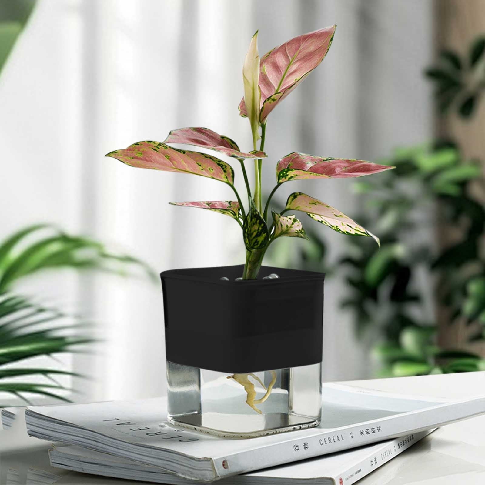 COM1950s Self-Watering Planter- Self Watering Pots for Indoor Plants,Clear Plastic Automatic-Watering Planter Flower Pot Square-Plant-Pot for All Plants,Succulents,Herb,African Violets,Flowers (4X4In)
