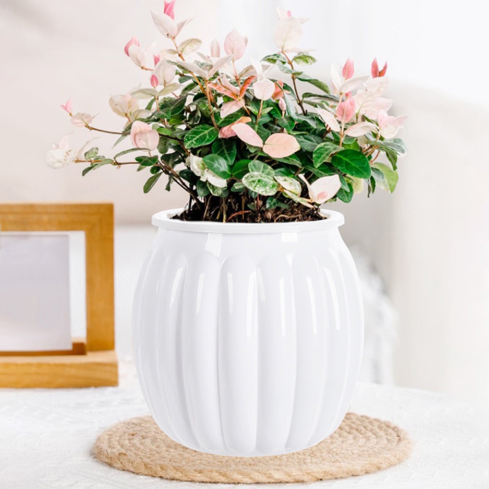 Self Watering Plant Pots for Indoor Plants, 30 Days Water Storage Planter with Water Level Indicator, Automatic Planters for Home Decor, Garden, Kitchen, Office