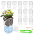12 Pack 2" Mini Self Watering Pots for Indoor Plants Small Clear Plastic Planters Alocasia Corm Propagation African Violet Cutting Seeding Water Level Indicator Drainage Hole 12 Plant Label