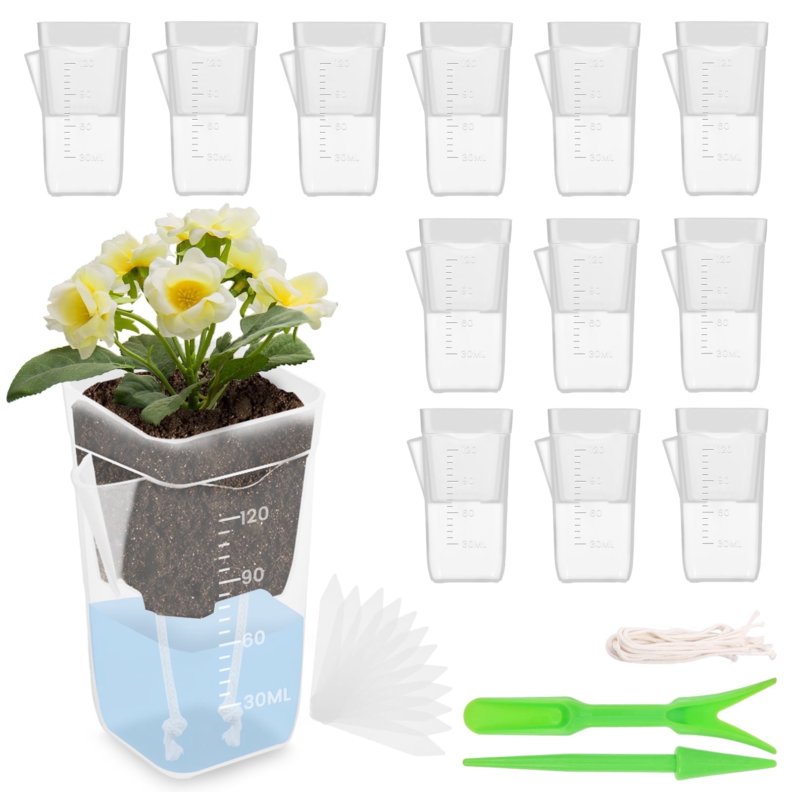12 Pack 2" Mini Self Watering Pots for Indoor Plants Small Clear Plastic Planters Alocasia Corm Propagation African Violet Cutting Seeding Water Level Indicator Drainage Hole 12 Plant Label