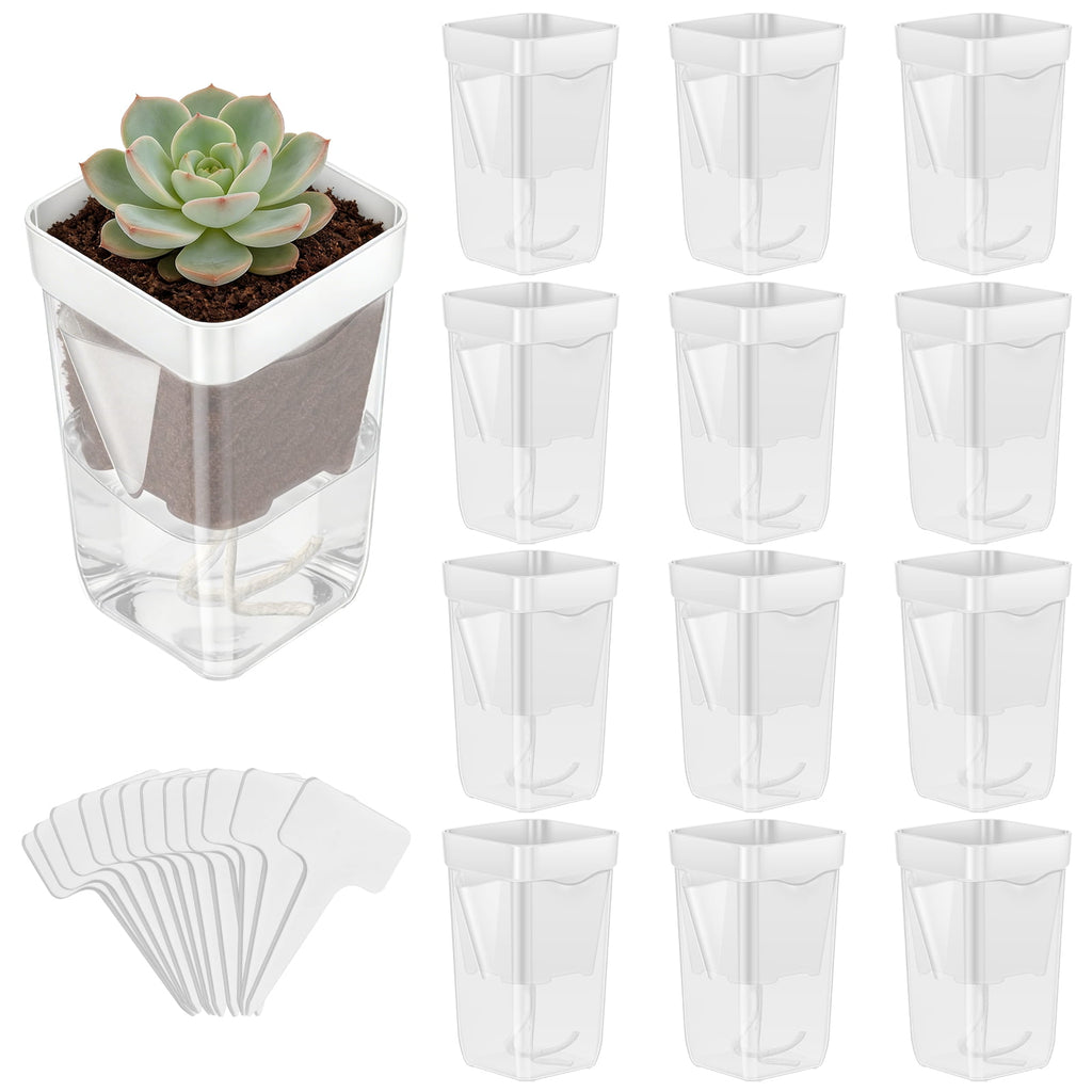12 Pack Self Watering Plant Pot Mini Self Watering Pot for Indoor Small Clear Plastic Planter for Propagation Cutting Seeding with Reservoir Drainage Holes and Labels