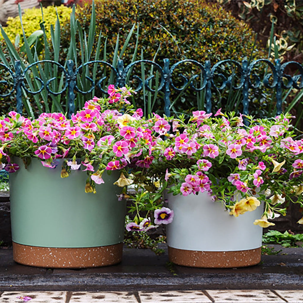 Xwjun African Violet Pots Planting Pots House Plant Pots Self Watering Plastic Planter With Drainage Hole And Saucer Decorative Flower Pot Flower Pots For Indoor Plants Indoor Plant Pots A