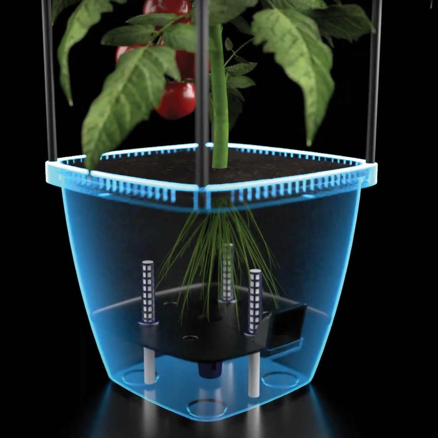 Harvest Bloom Garden Planter with Self-Watering System and Adjustable Trellis for Your Outdoor Balcony, Patio, or Backyard Garden by NuVue Products