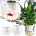 1Pc Hydroponic Flower Pot Clearance! Nomeni Self Watering Planter Violet Pots Clear Plastic Automatic Watering Planter Flower Pot Pot for All House Plants, Garden Decor Promotion Sale!