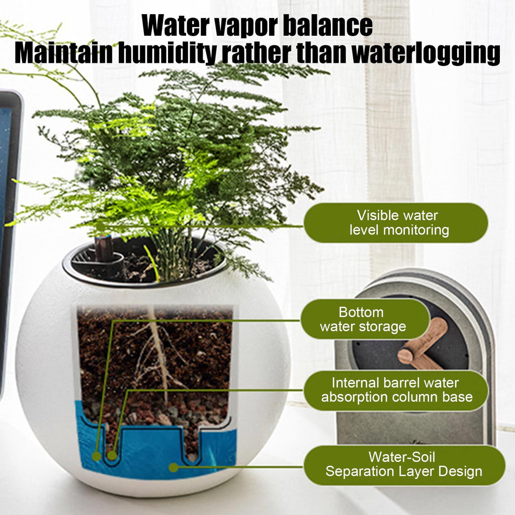 Hometravel Self Watering Plant Pot, Plastic Spherical Flower Container, Automatic Absorbing Planter for Indoor Desktop