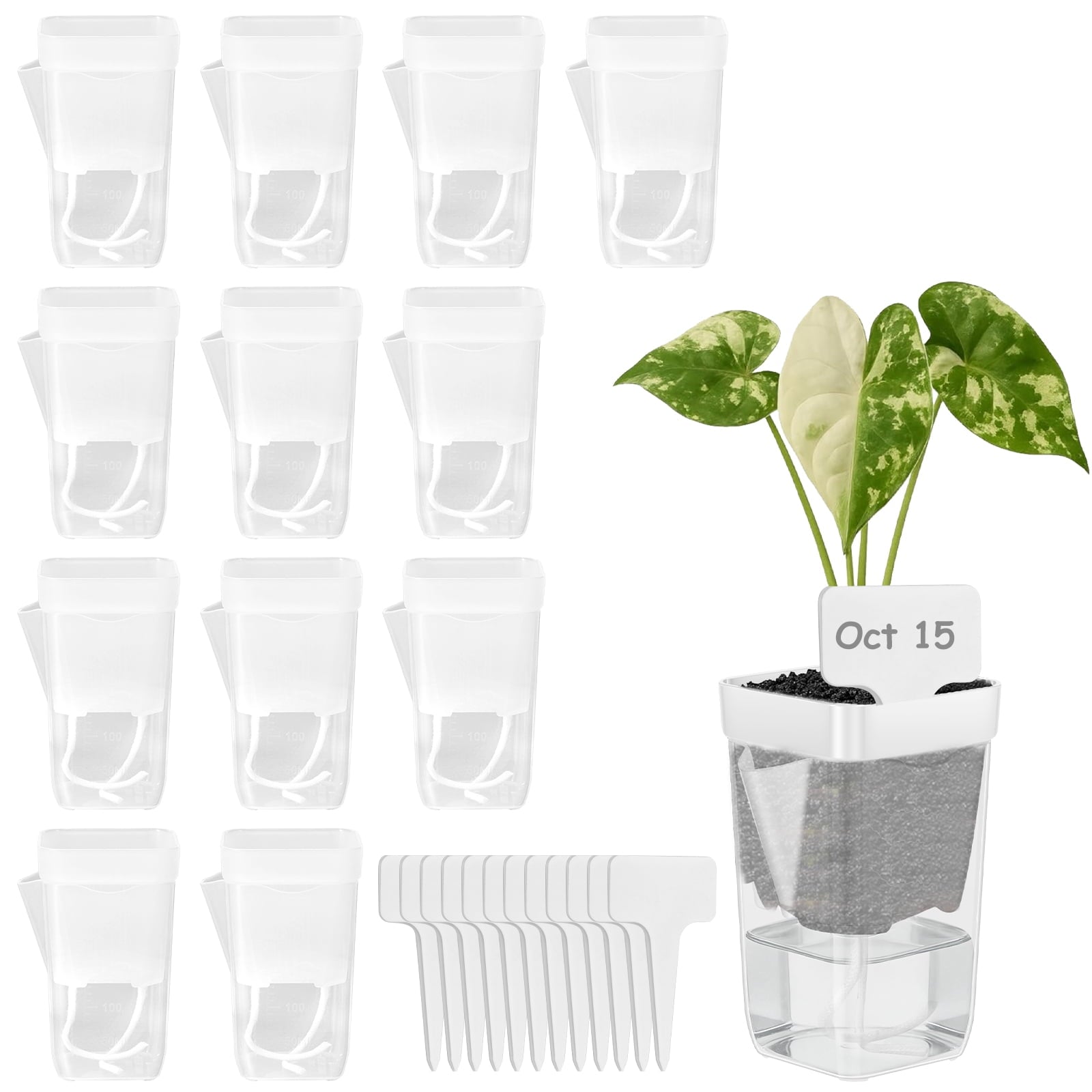 12 Pack Self Watering Plant Pot Mini Self Watering Pot for Indoor Small Clear Plastic Planter for Propagation Cutting Seeding with Reservoir Drainage Holes and Labels