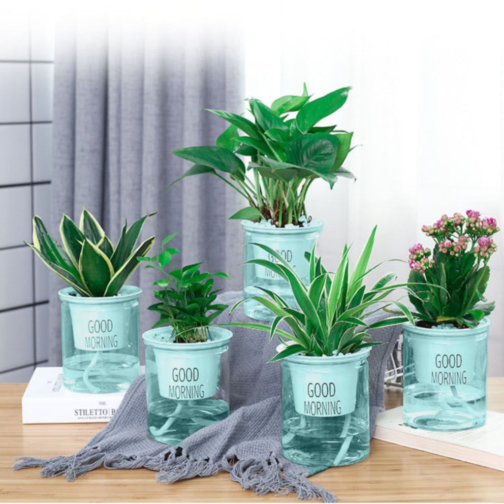 Self Watering Planter, Self Watering Pots for Indoor Plants, 4 Inch Clear African Violet Pots for Indoor Plants, Automatic-Watering Planter with Drainage, Wick Rope, Windowsill Gardens, Herb, Orchid