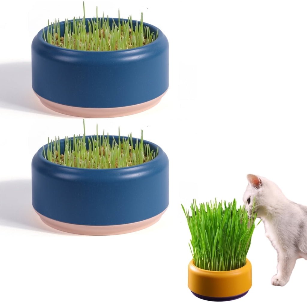 Trianu 2 Pack Cat Grass Planter Self Watering Pots Cat Plant Nursery Planting Box Cat Grass Planting Container Hydroponic Plants for Cats (Yellow, NO SEEDS)