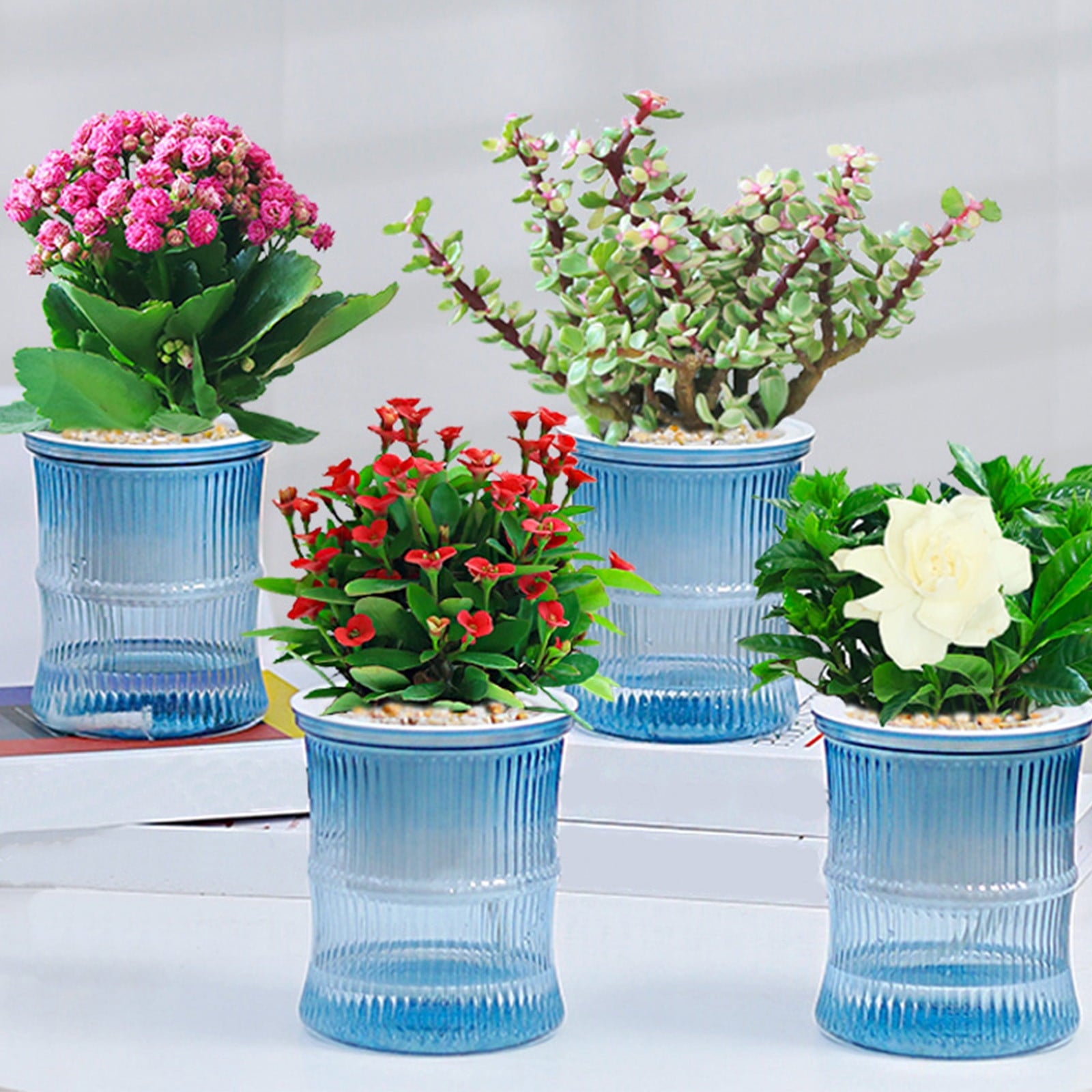 Self Watering Planter under $5! CQCYD Self Watering Plant Pots for Indoor Plants, Automatic Watering Planters for Houseplants, Plastic Flower Pots with Water Reservoir, Lazy Gardener Plant Containers
