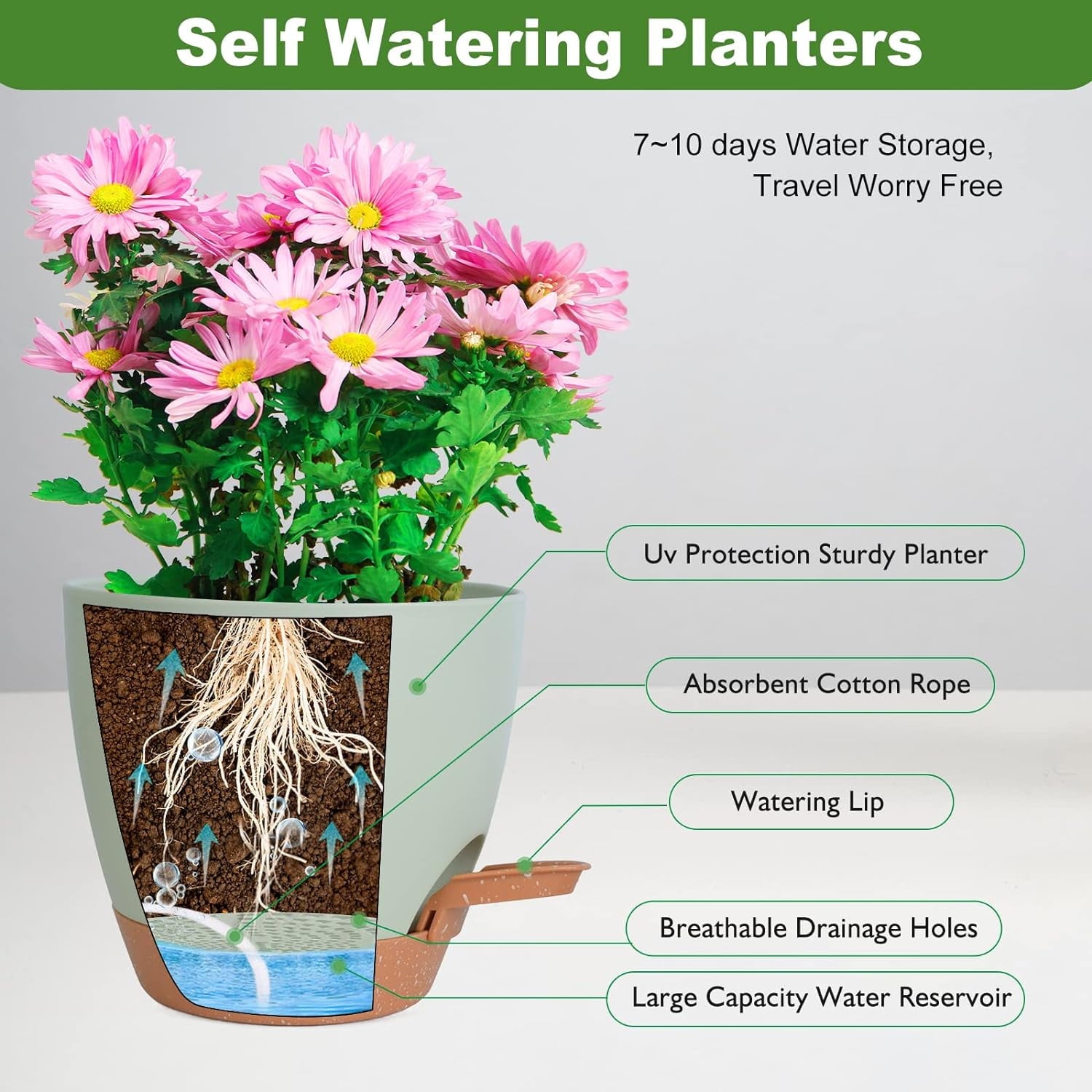 Plant Pots Indoor 7/6.5/6/5.5/5 Inch Self Watering Planters for Indoor Plants with Drainage Hole, Plastic Flower Pots for Succulents, African Violet (Green)