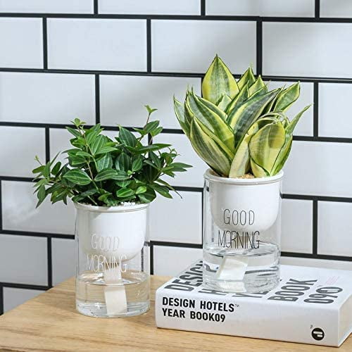 Visland 2Pcs Self Watering Planter, African Violet Pots, Flower Plant Pot for Various Plants / Flowers / Succulent Plants