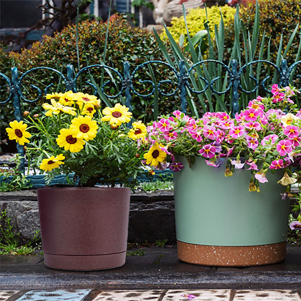 Xwjun African Violet Pots Planting Pots House Plant Pots Self Watering Plastic Planter With Drainage Hole And Saucer Decorative Flower Pot Flower Pots For Indoor Plants Indoor Plant Pots A
