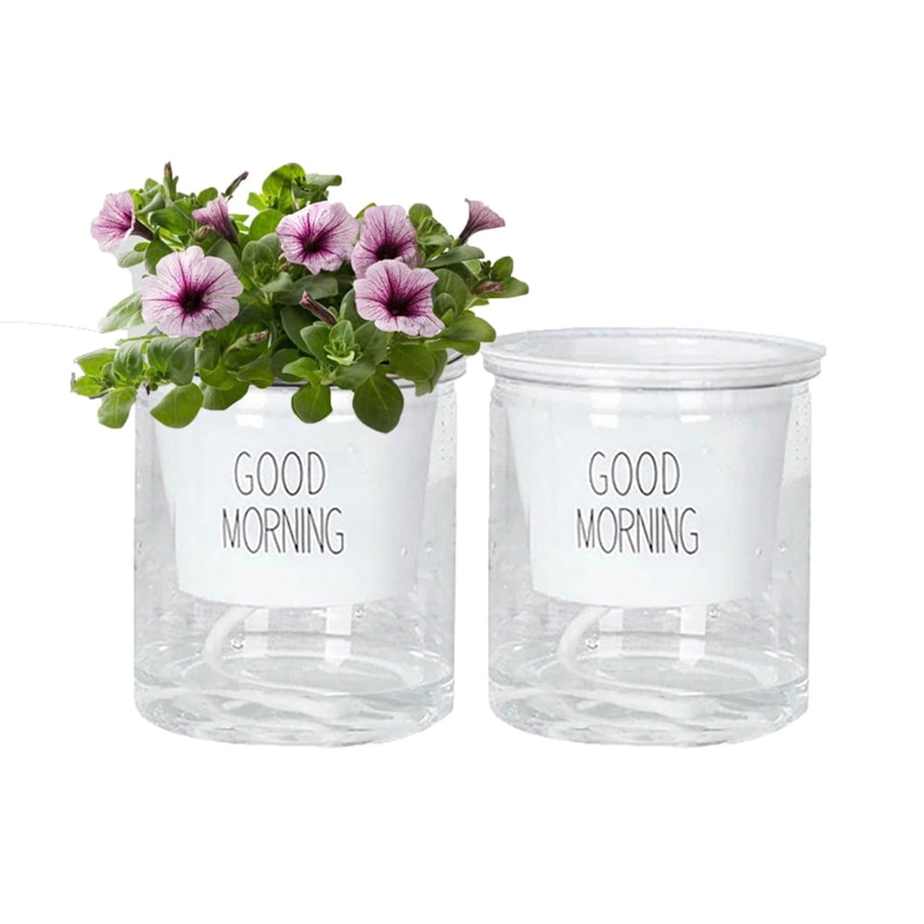 Watering Planter for African Violets, Self Watering Flower Pot with Reservoir, Clear Plant Pot for Various Plants, Indoor Succulent Container, Double Pot Planter, Potted Plant Vessel for Home Office