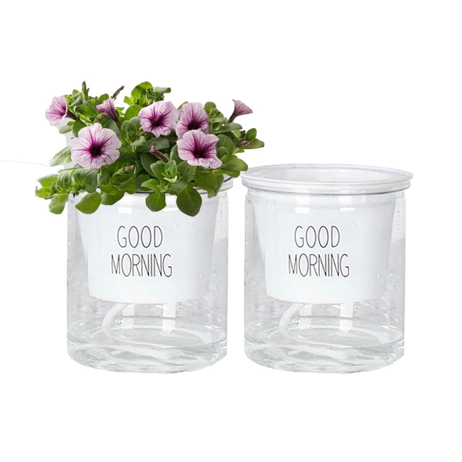 Watering Planter for African Violets, Self Watering Flower Pot with Reservoir, Clear Plant Pot for Various Plants, Indoor Succulent Container, Double Pot Planter, Potted Plant Vessel for Home Office