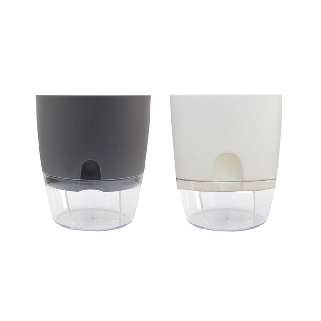 Dream Lifestyle Self Watering Pots for Indoor Plants, Self-Watering Planters Box Transparent for Devil's Ivy, Spider Plant, Orchid for Home & Office