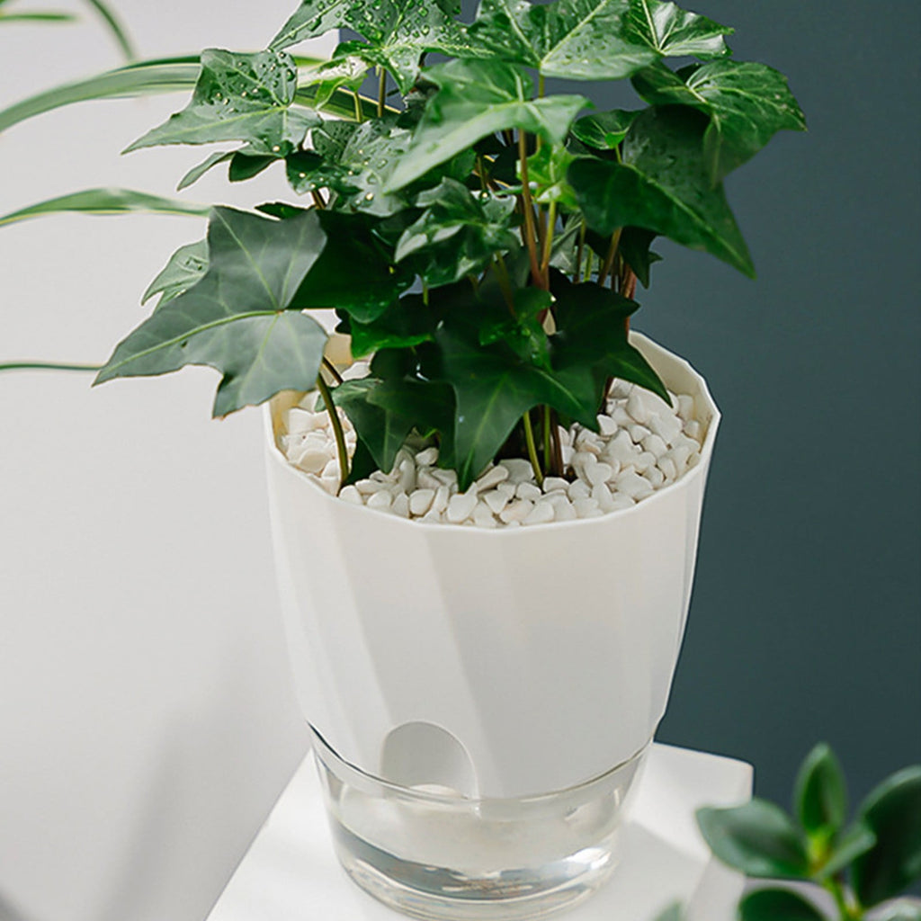Self Watering Pots - 2 Pack Indoor Planters with Wick Ropes & Drainage Holes - Modern White Orchid Pots with Water Reservoir for African Violets, Herbs, and Houseplants
