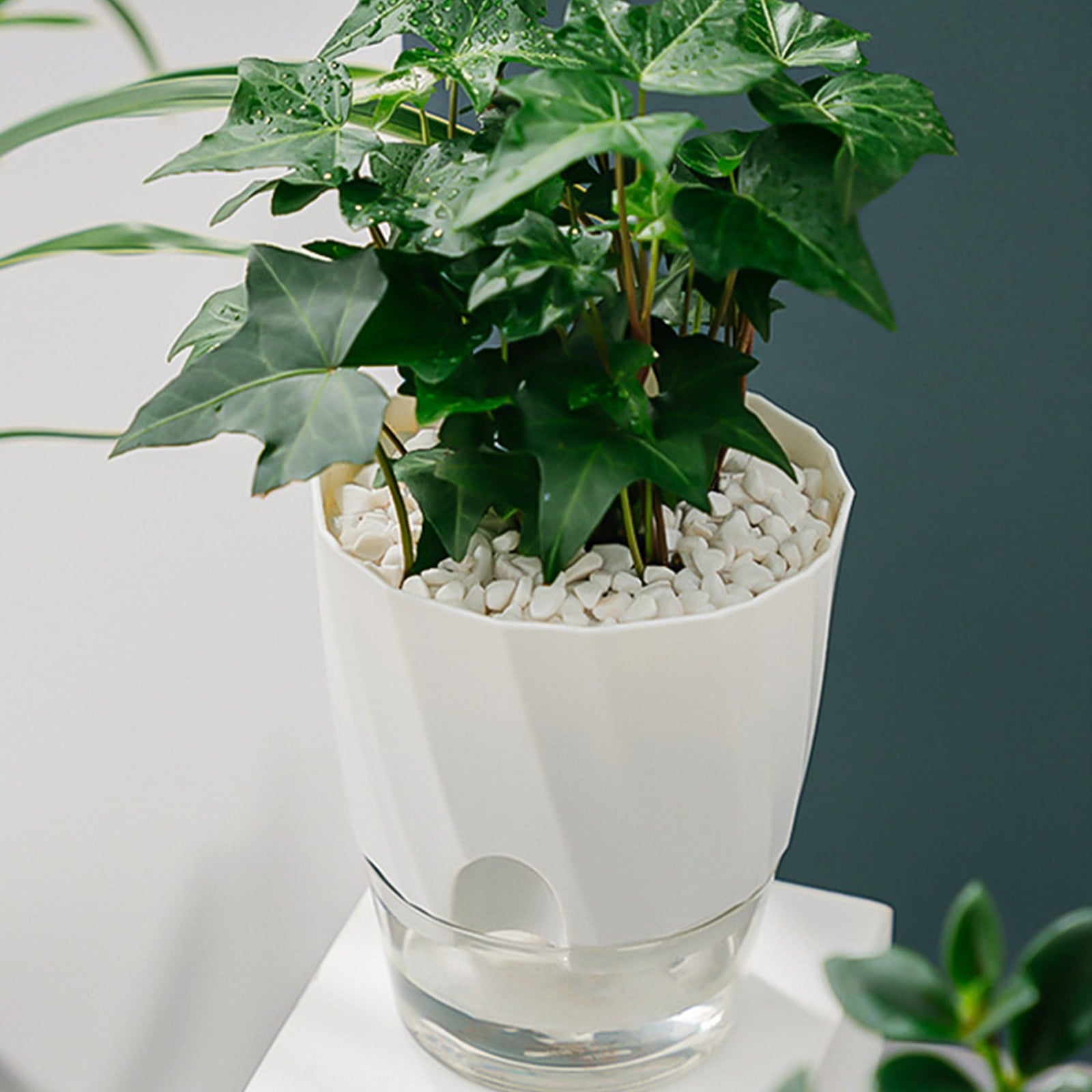 Self Watering Pots - 2 Pack Indoor Planters with Wick Ropes & Drainage Holes - Modern White Orchid Pots with Water Reservoir for African Violets, Herbs, and Houseplants