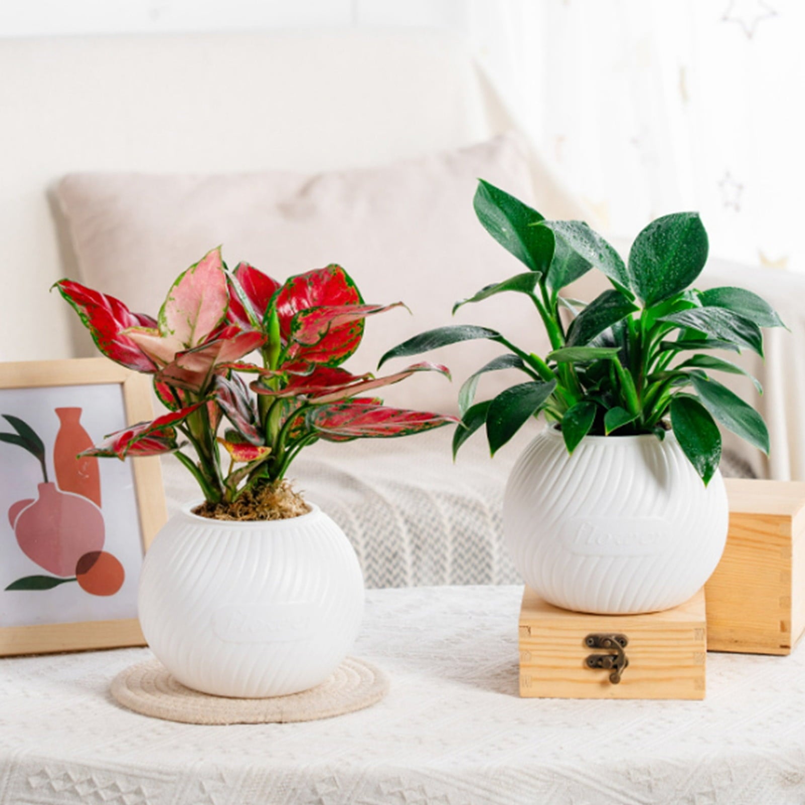 Fwttom Plant Pots, Plastic Self Watering Pots for Indoor Plants, Planter Container for Windowsill Balcony Home Decoration, White