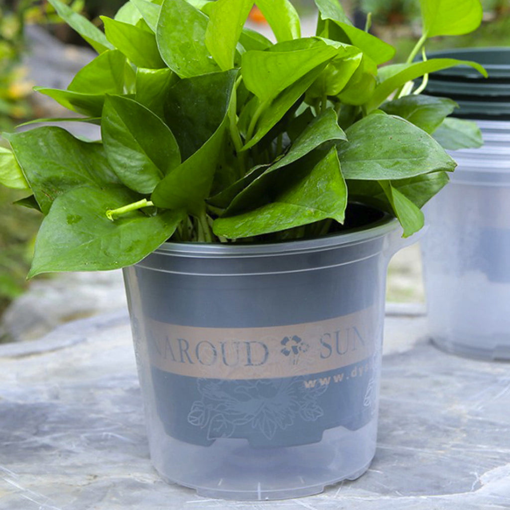 Clear Self Watering Planter Pot For Indoor Plants, Automatic Water Absorbing Flower Container For Herbs And Foliage