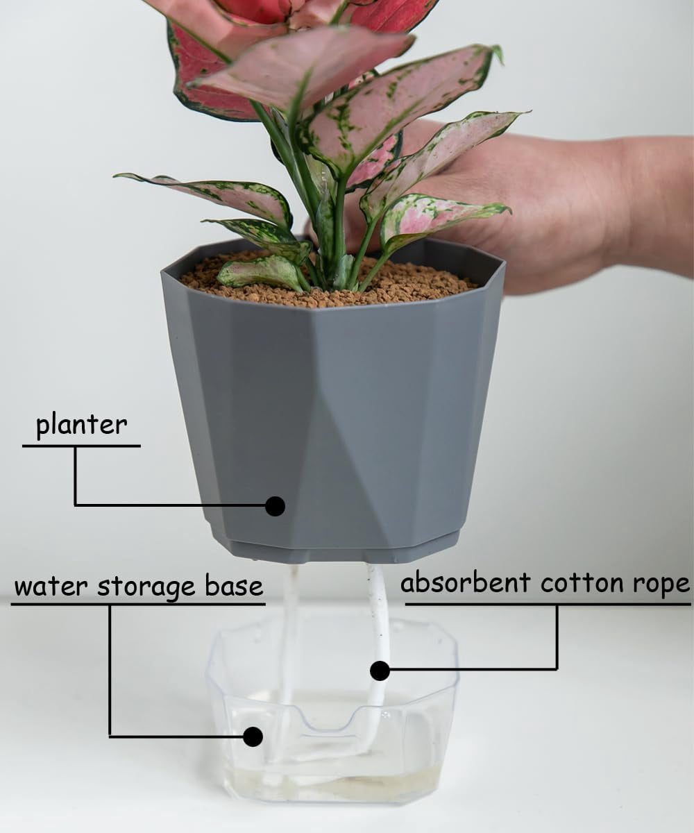 MODANU 4 Pack Self Watering Plant Pots Self Watering Planters for Indoor and Outdoor Plants African Violet 4.7" Self Watering Pots Clear Pots for Plants Herb Orchid Flower Houseplant Pots, Grey
