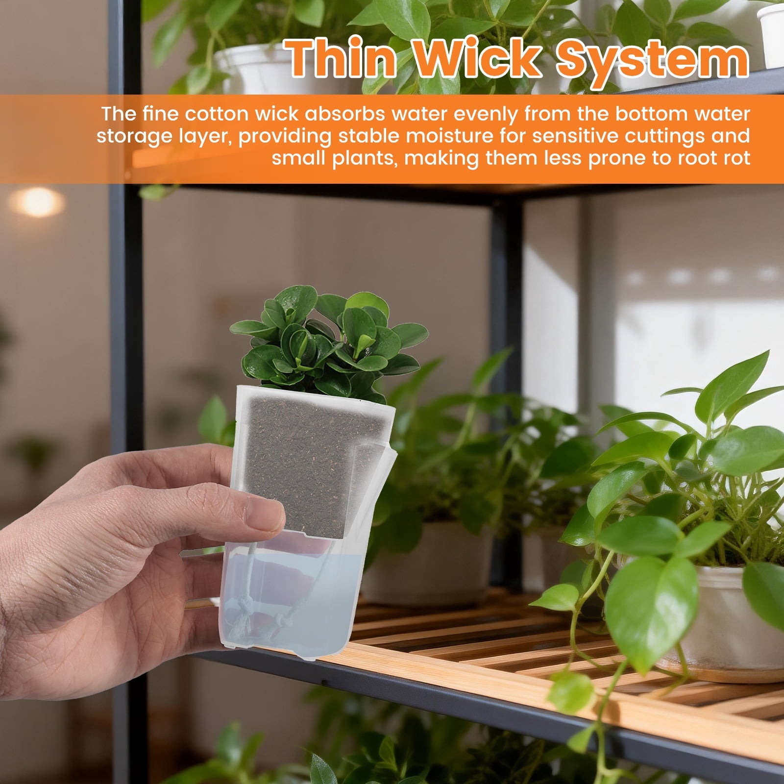12 Pack Self Watering Pots for Indoor Plants,Plastic Planters with Absorbent Cotton Wick,Semi Hydroponic Containers for Propagation,Cuttings,Seedlings