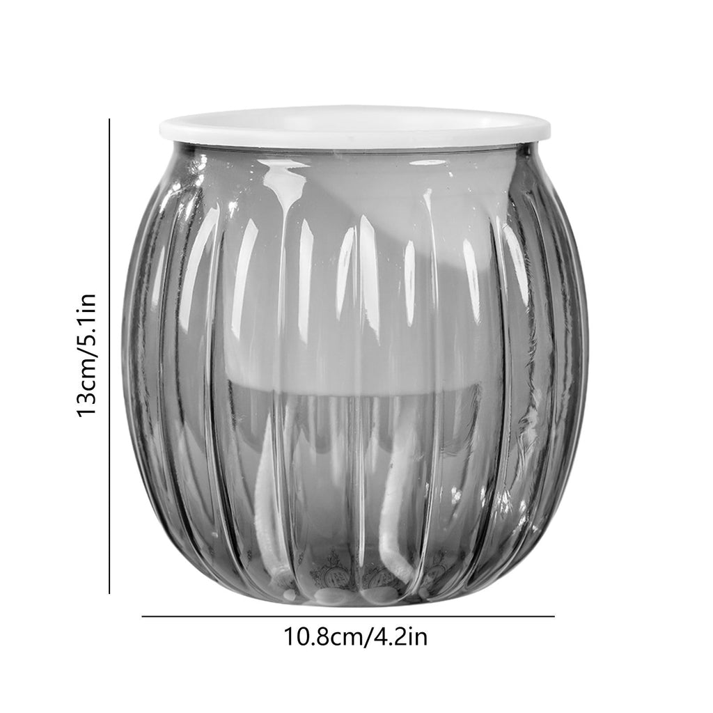 Todaioua 4 Inch Self Watering Plant Pot, Self Watering Pots, Small Self Watering Planter with Reservoir for Indoor Plants for Garden Home, Green Plant Lovers (Transparent Gray)