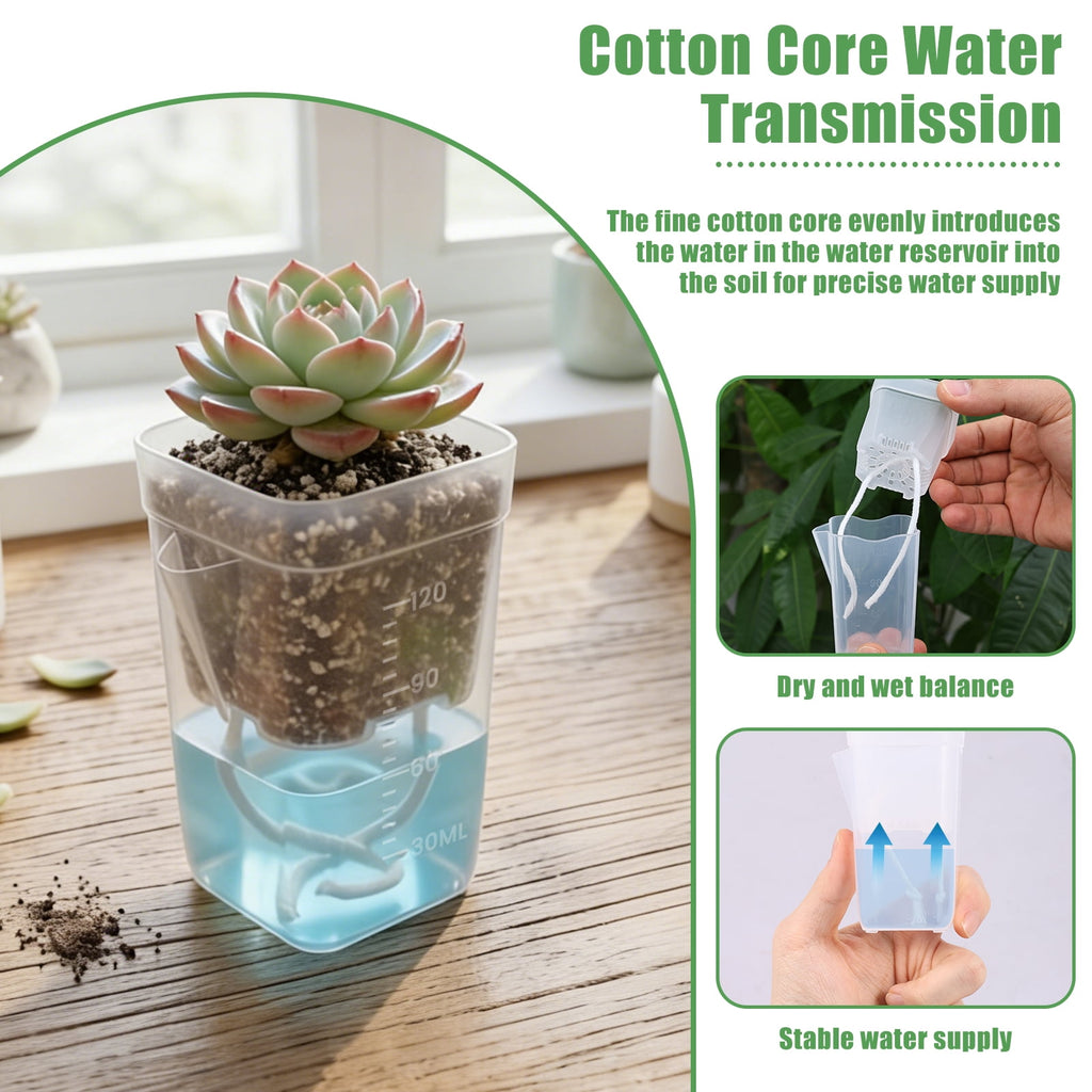 12 Pack 2" Mini Self Watering Pots for Indoor Plants Small Clear Plastic Planters Alocasia Corm Propagation African Violet Cutting Seeding Water Level Indicator Drainage Hole 12 Plant Label