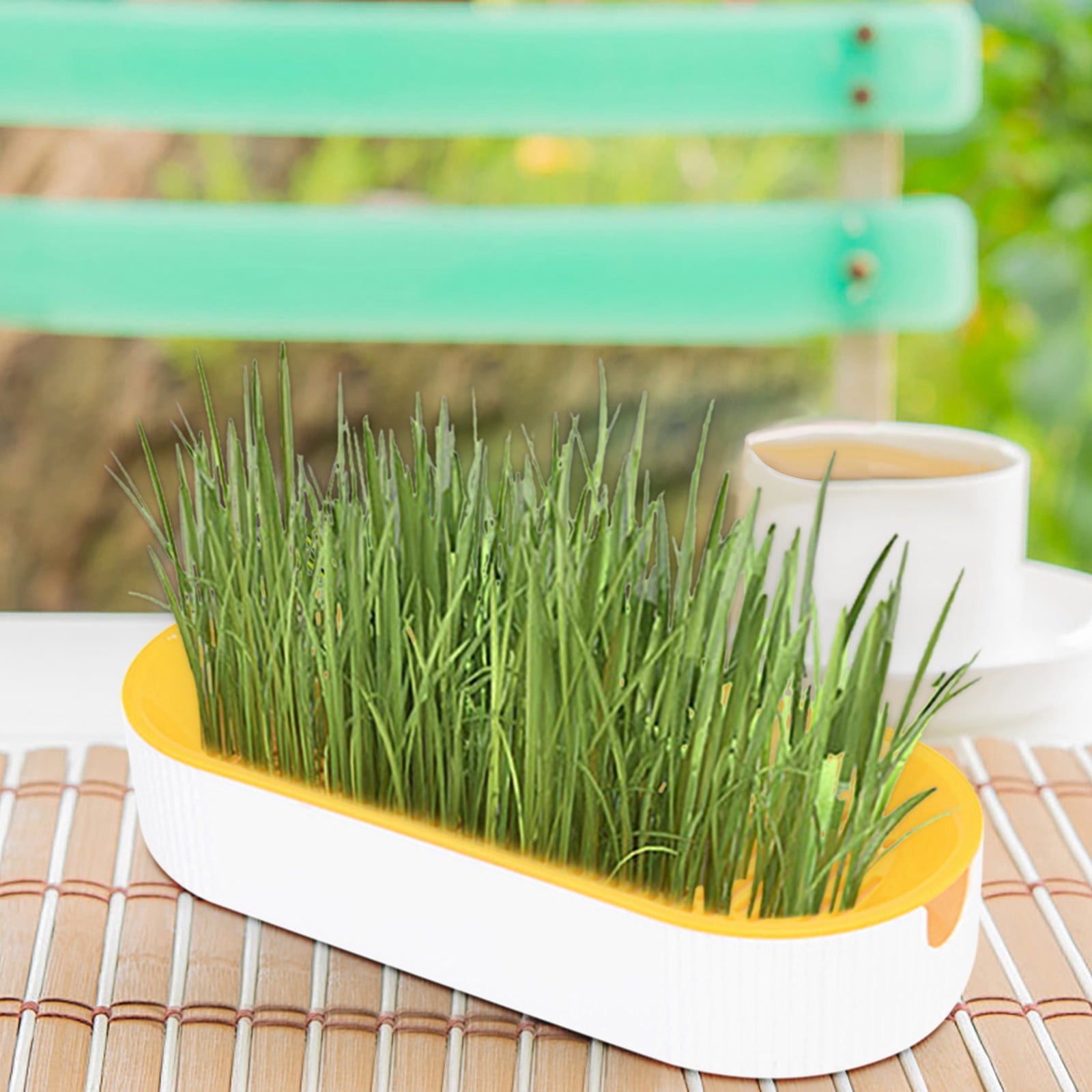 Cat Grass Planter, Hydroponic Planter, Hydroponic Grass Planter, Self Watering Cat Grass Planting Container Soilless Pots Window Planting Box Hydroponic Planter Nursery Planting Pots Growing Products