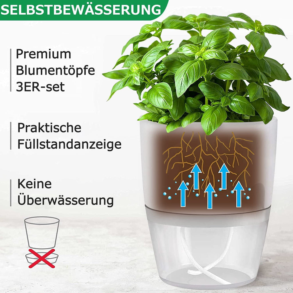 6 Pack Self Watering Pots for Indoor Plants, Self-Watering Planters Box Transparent,Plastic Planter Pot for Spider Plant, Orchid for Home & Office. African Violet Pot for Outdoor Plants (6”)