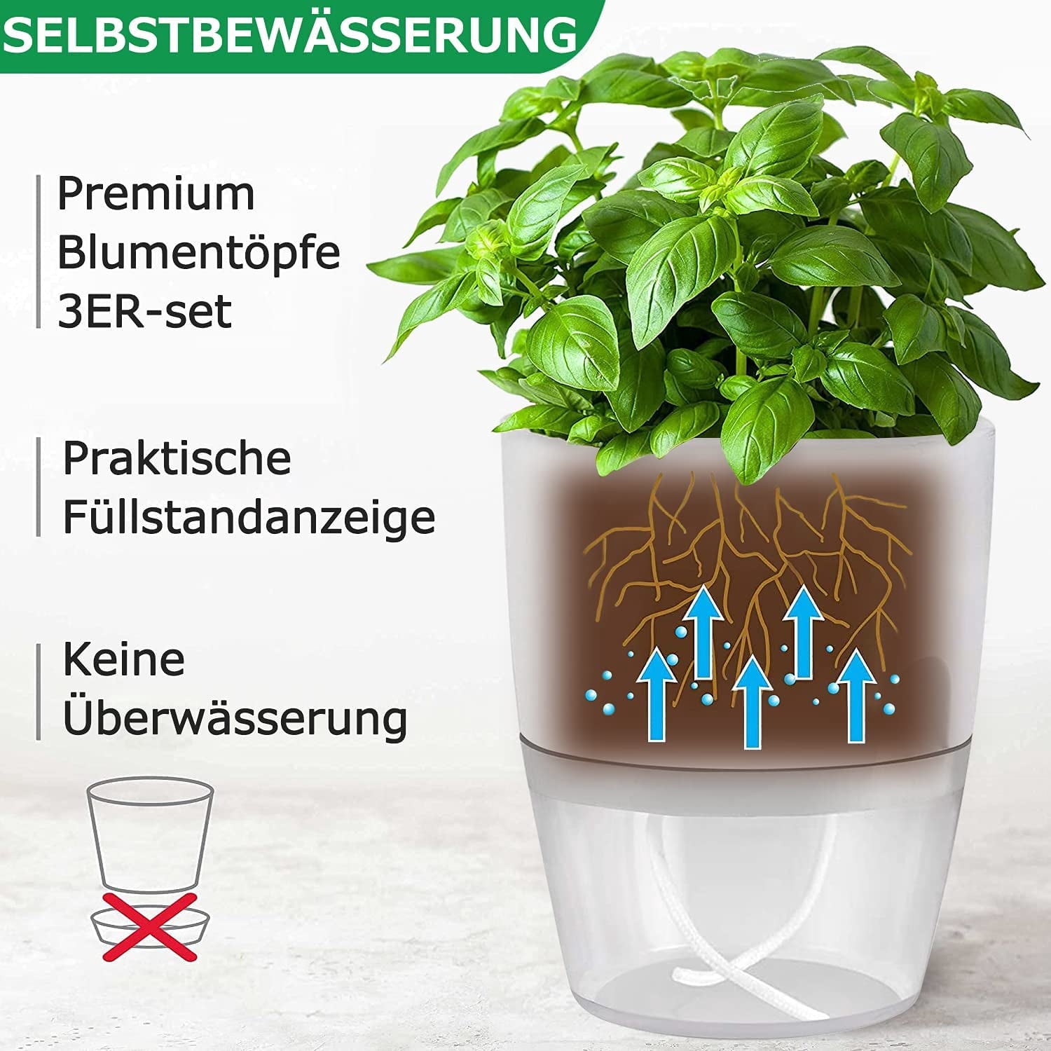 6 Pack Self Watering Pots for Indoor Plants, Self-Watering Planters Box Transparent,Plastic Planter Pot for Spider Plant, Orchid for Home & Office. African Violet Pot for Outdoor Plants (6”)
