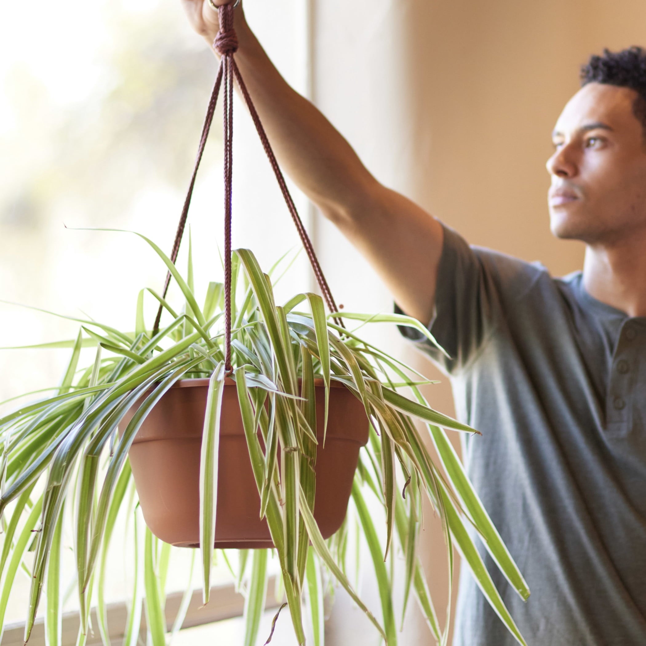 Bloem Dura Cotta 12" Terra Cotta Round Self Watering Hanging Basket Planter with Drainage with Macrame Cord Included