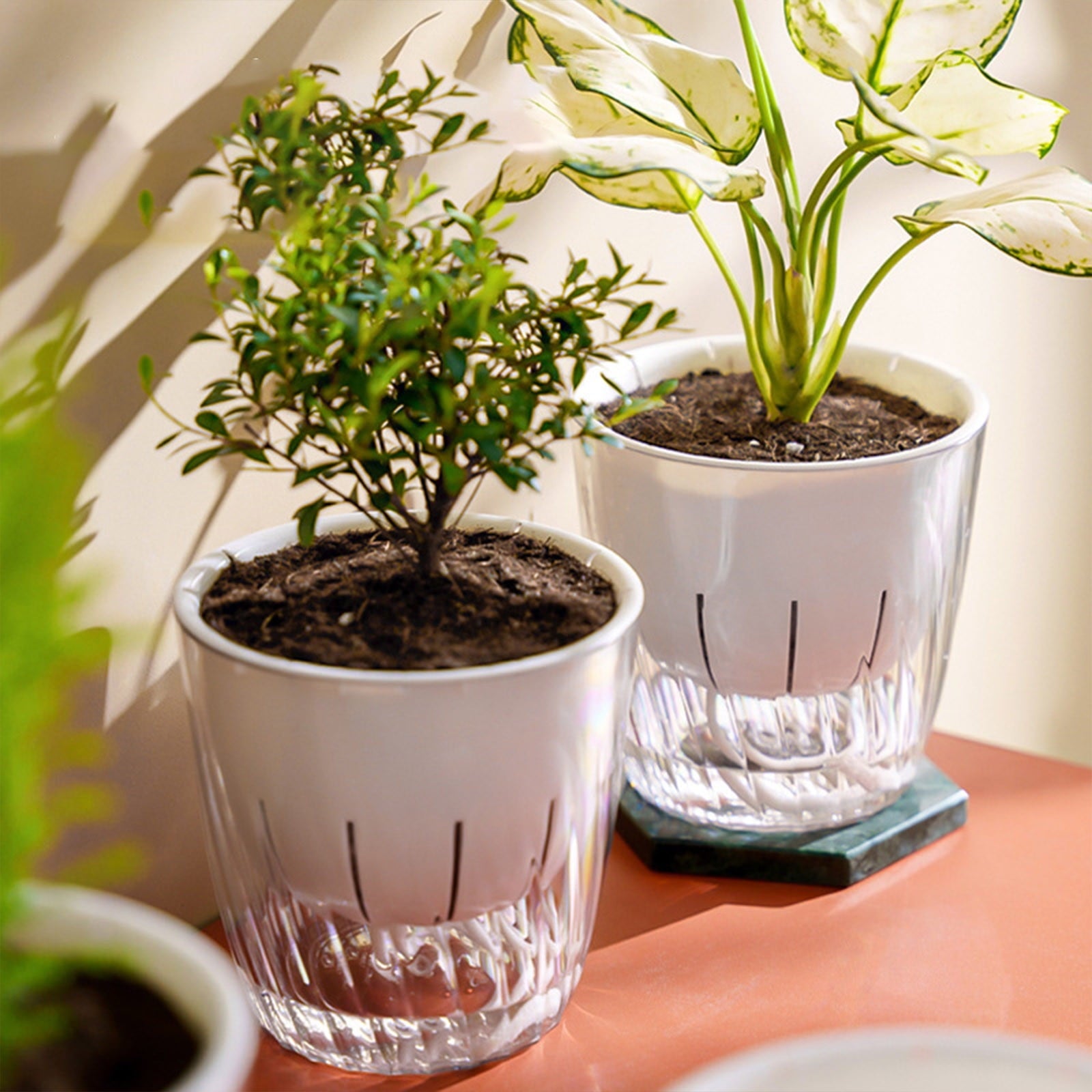HomeKingdee Plant Propagation Station, self Watering pots for Indoor Plants, Plastic Flower Plant Pot with Inner Pot, Self Watering Planter for Home Kitchen Countertop Decor