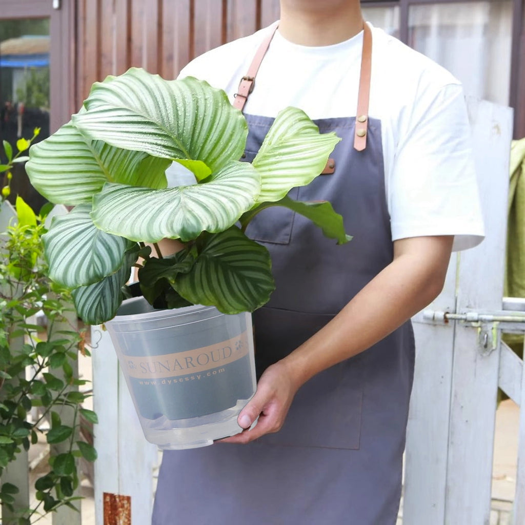 Self-Watering Planter, Clear Plastic Automatic Watering Flower Pot for Plants, Succulents, Herbs, Indoor Outdoor Use, Transparent Design with Water Level Indicator