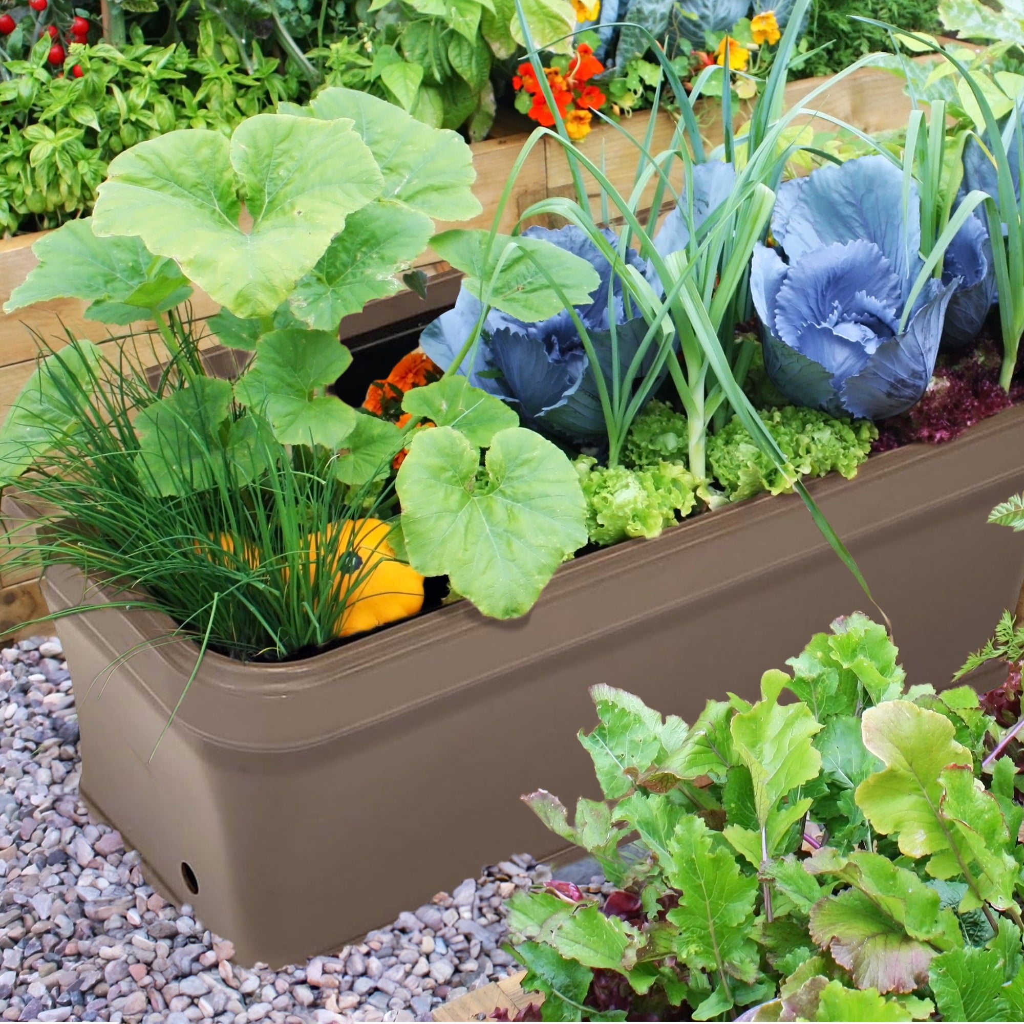 FCMP 32 Inch Outdoor Long and Deep Self Watering Vegetable Planter