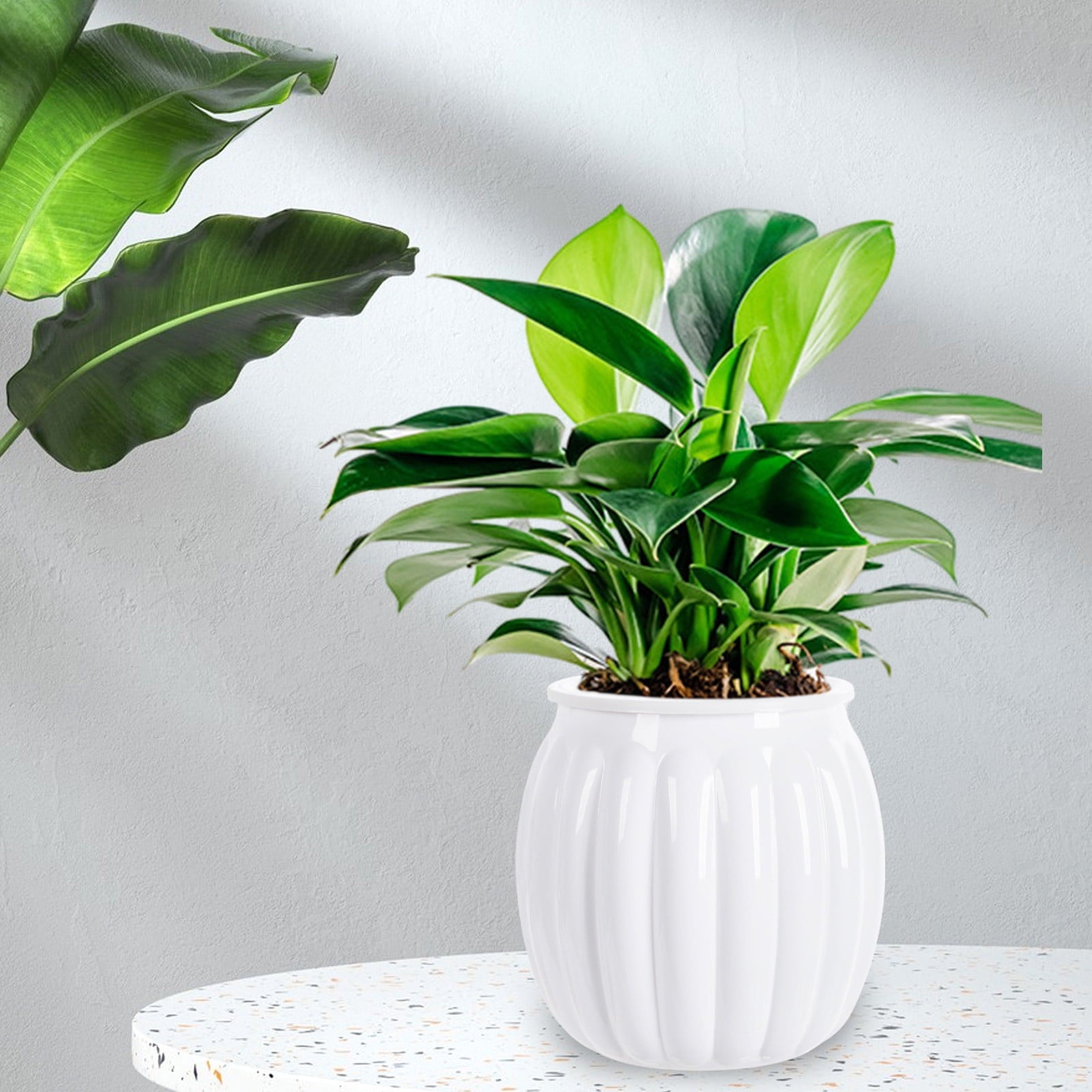 Self Watering Plant Pots for Indoor Plants, 30 Days Water Storage Planter with Water Level Indicator, Automatic Planters for Home Decor, Garden, Kitchen, Office