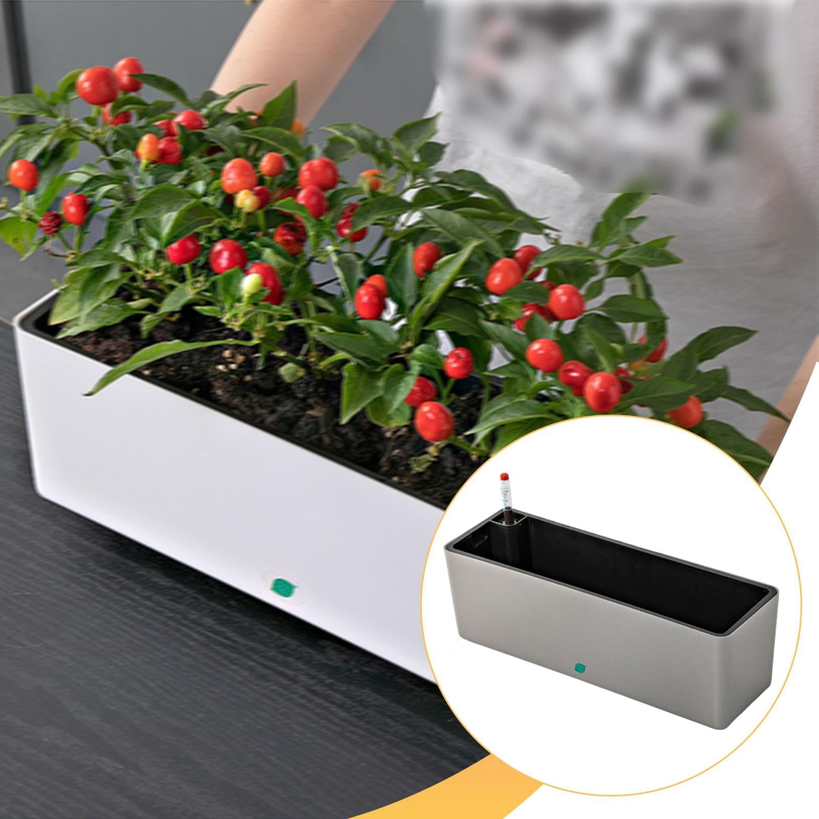 Nishiyuenyi Rectangle Self Watering Planter for Home Planting Vegetables, Flowers Garden Gray
