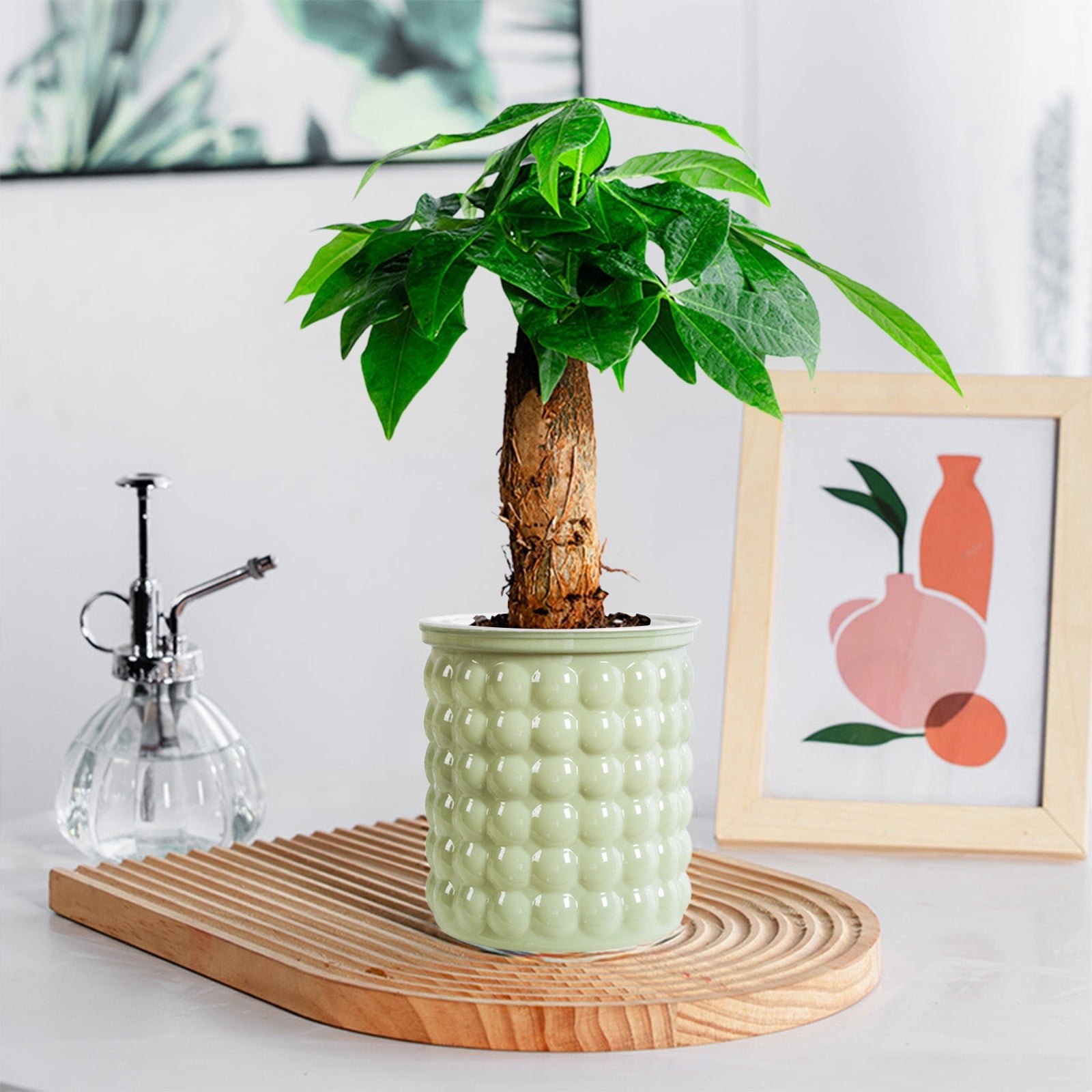 Self Watering Transparent Flower Pot | Automatic Plastic Planter for Small Indoor Plants, Hydroponics | Beige, White, Gray, Green | 12x10.5x11.5cm | Home Decor