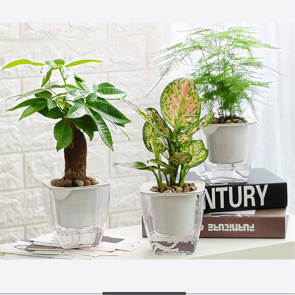 Sungmor Clear Self Watering Planter for Indoor Plants, 3 Pack 6.9 Inch Plastic Violet Flower Pots, Square Watering Plant Pot for House Plants,Orchid,Succulents, Herbs