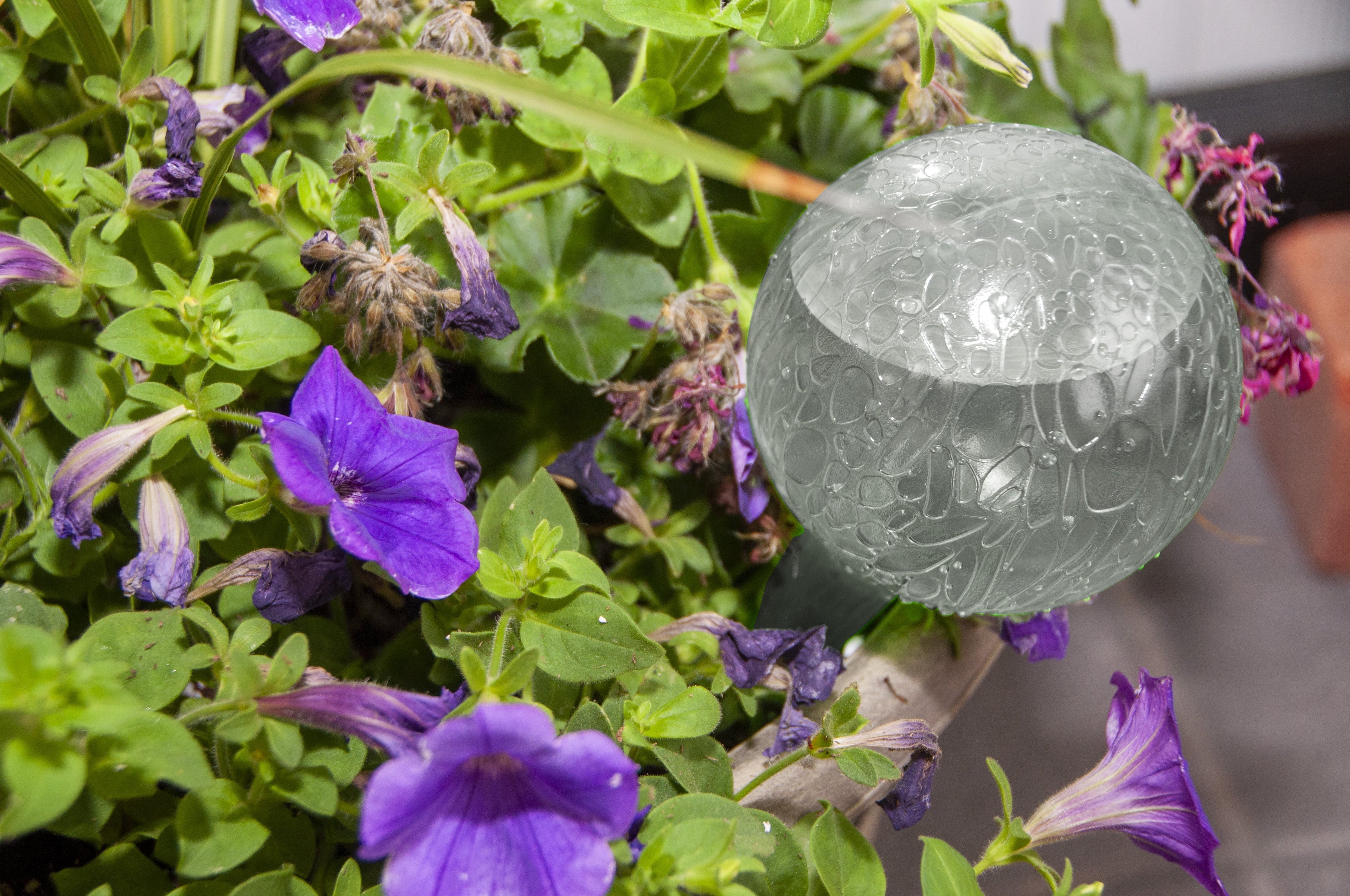 Mainstays 12 inch Round Plastic Self Watering Globe for Planters