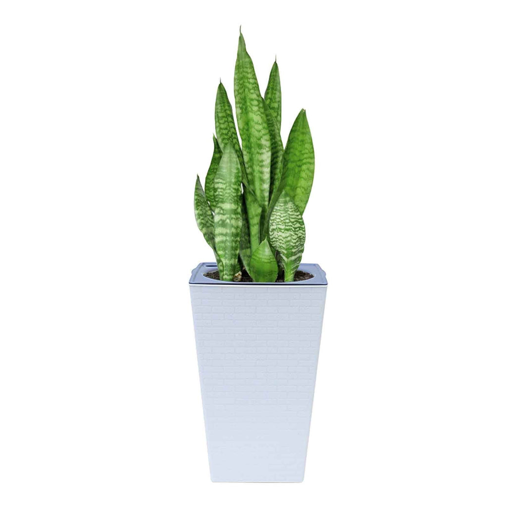 Planter Pot Self Watering Planter Tall Flower Pots Square Planters for Outdoor Plants Large Tall Planter Modern Planter with Drainage Holes Indoor Outdoor Self Watering Plants Planter for Home Office