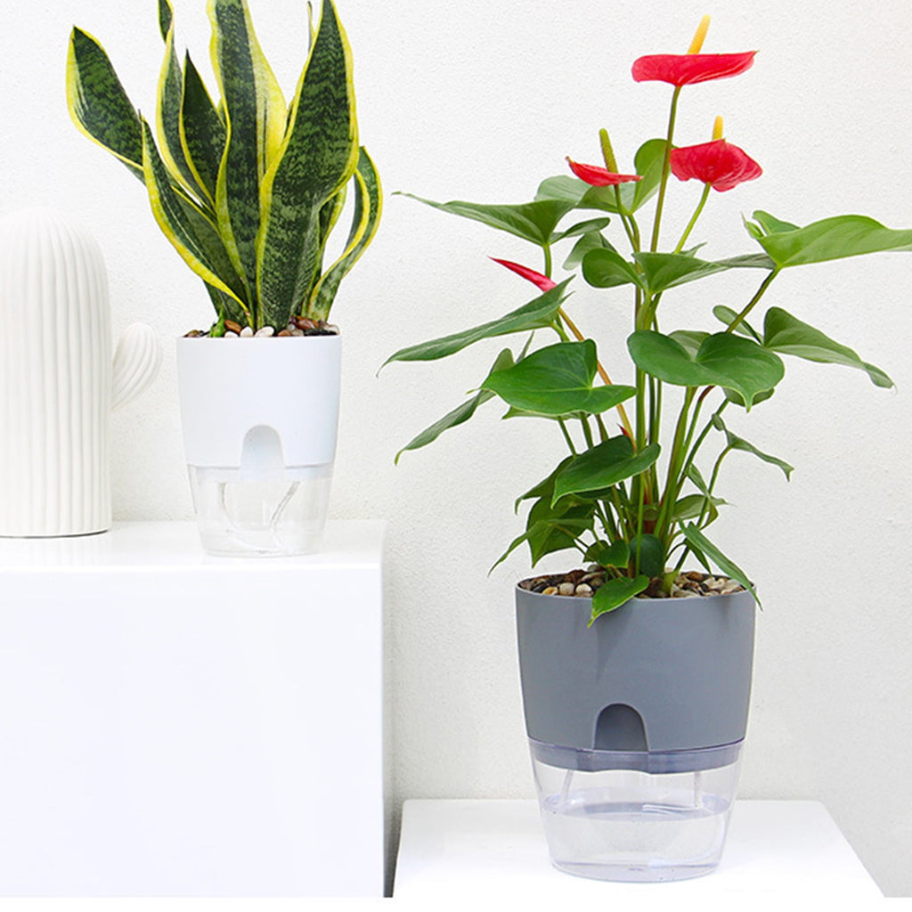 Travelwant Self Watering Planters Plant Pots Self Watering Pots Planters for Indoor Plants Plastic Flower Pot with a Watering Bottle